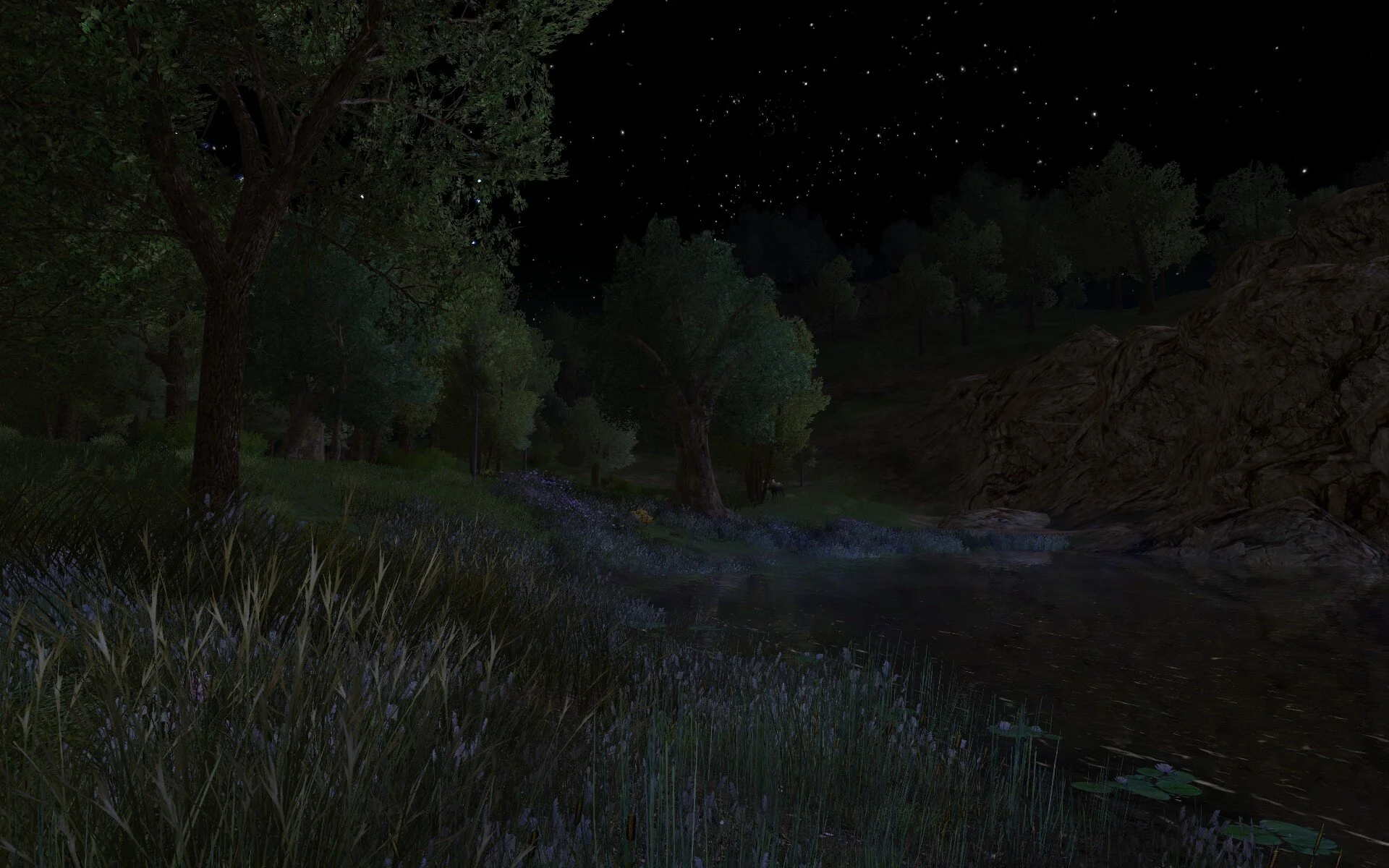ScreenShot_2021-02-09_214900_0.jpg