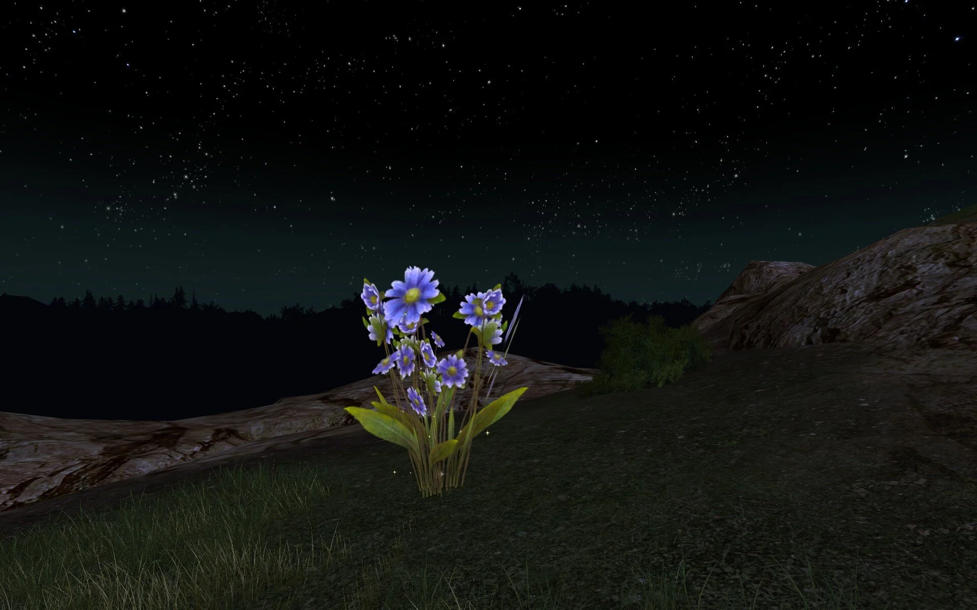 ScreenShot_2021-02-09_215128_0.jpg