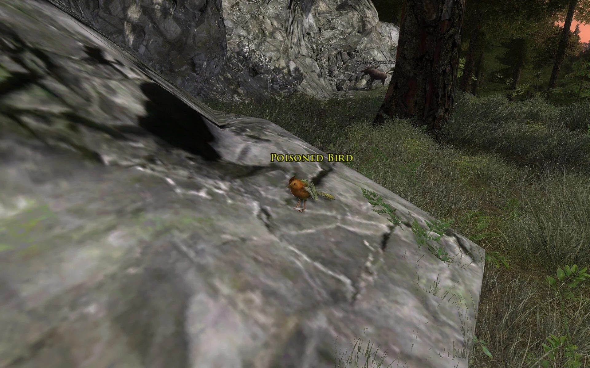 ScreenShot_2021-02-09_224337_0.jpg