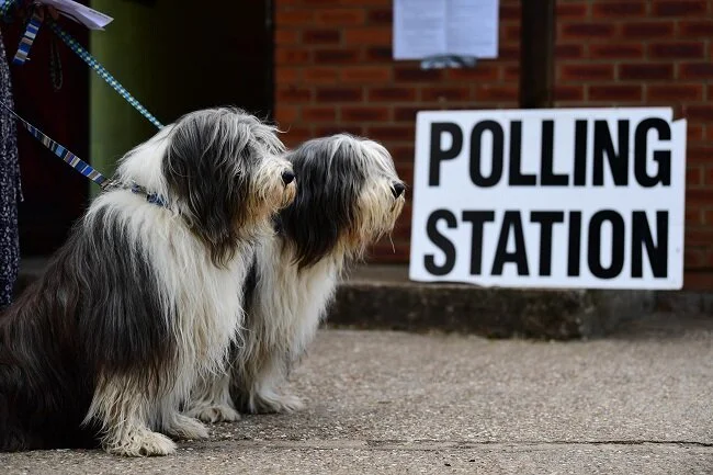 Polling Station Dogs 4c.jpg
