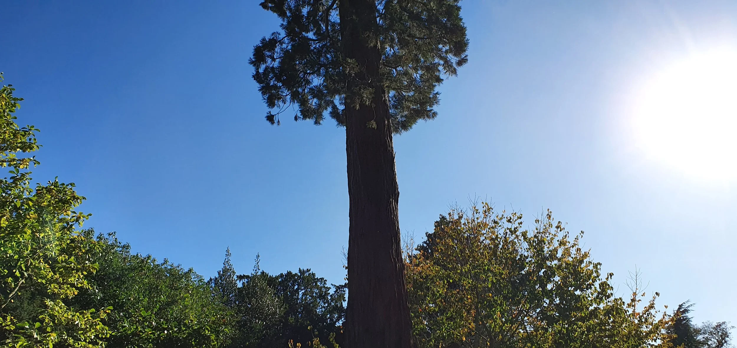 20211021_134029.jpg