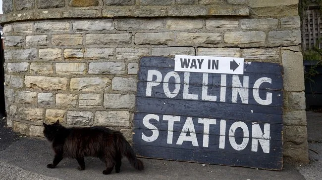 Cats at Poling Stations.jpg