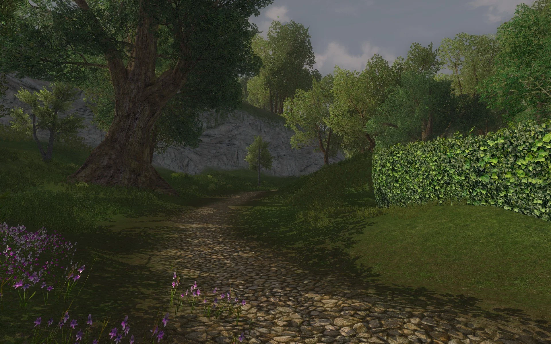 ScreenShot_2022-03-24_080407_0.jpg