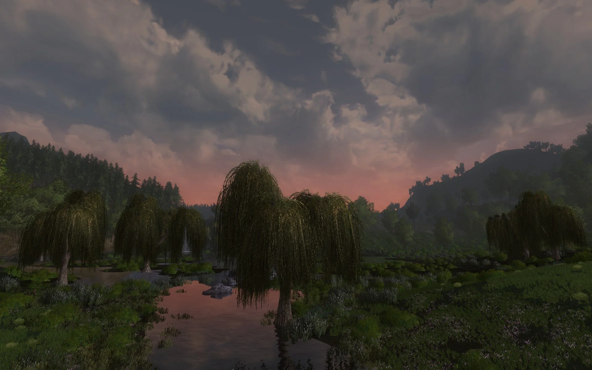 ScreenShot_2022-03-25_115320_0.jpg