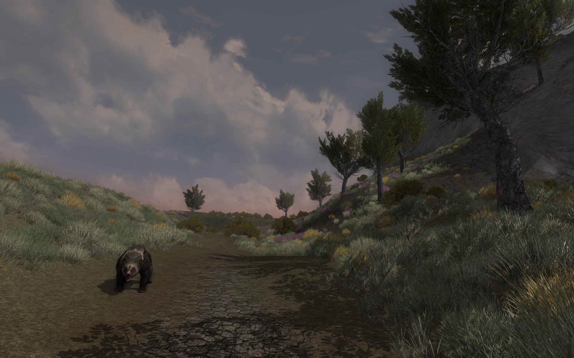 ScreenShot_2022-03-25_115454_0.jpg