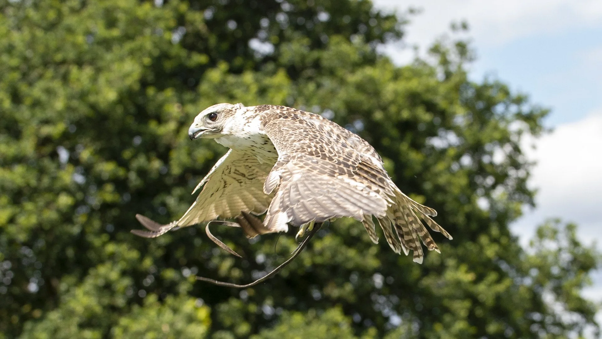 DSC_3729.jpg
