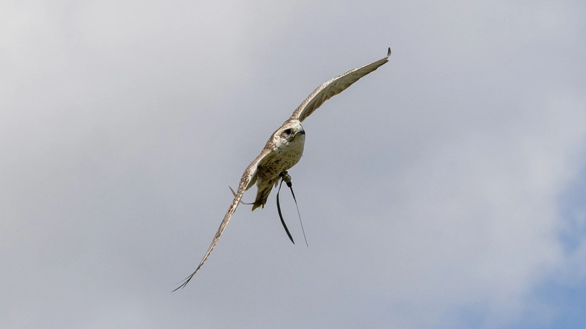 DSC_3748.jpg