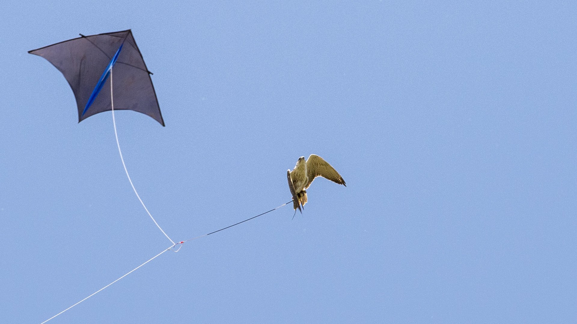DSC_3776.jpg