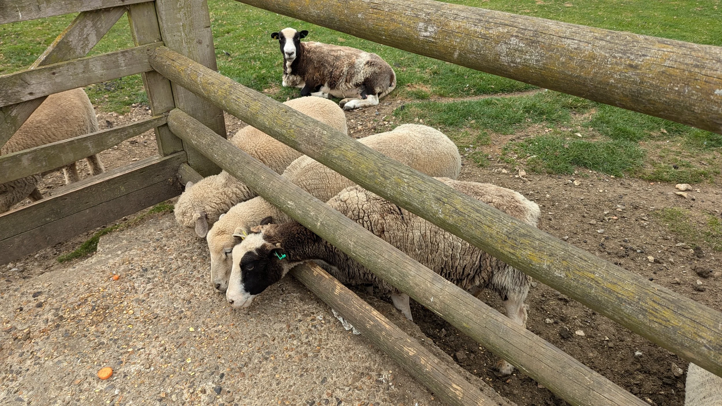 PXL_20240805_110657974.jpg