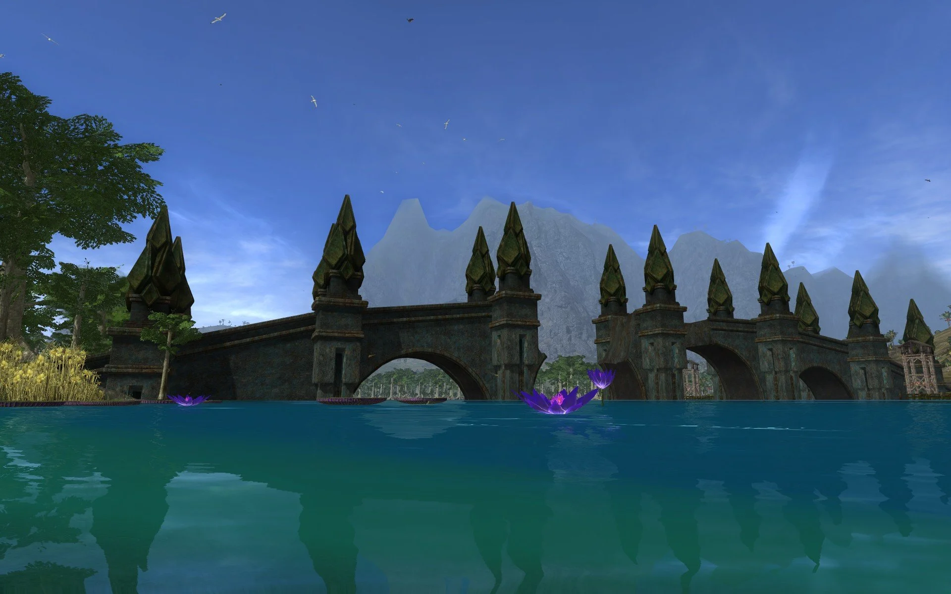 ScreenShot_2024-10-09_163738_0.jpg
