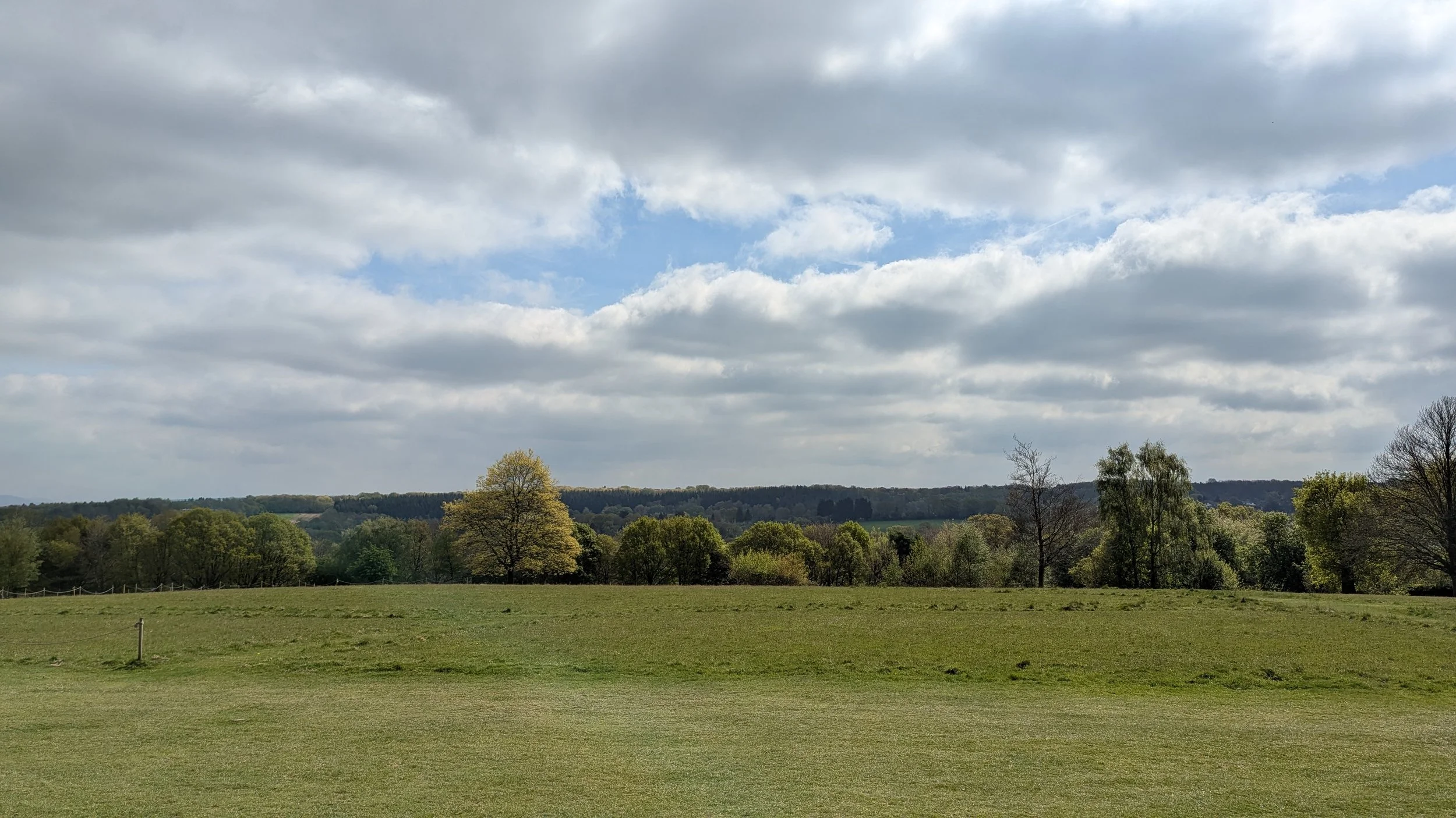 PXL_20250425_094932788.jpg
