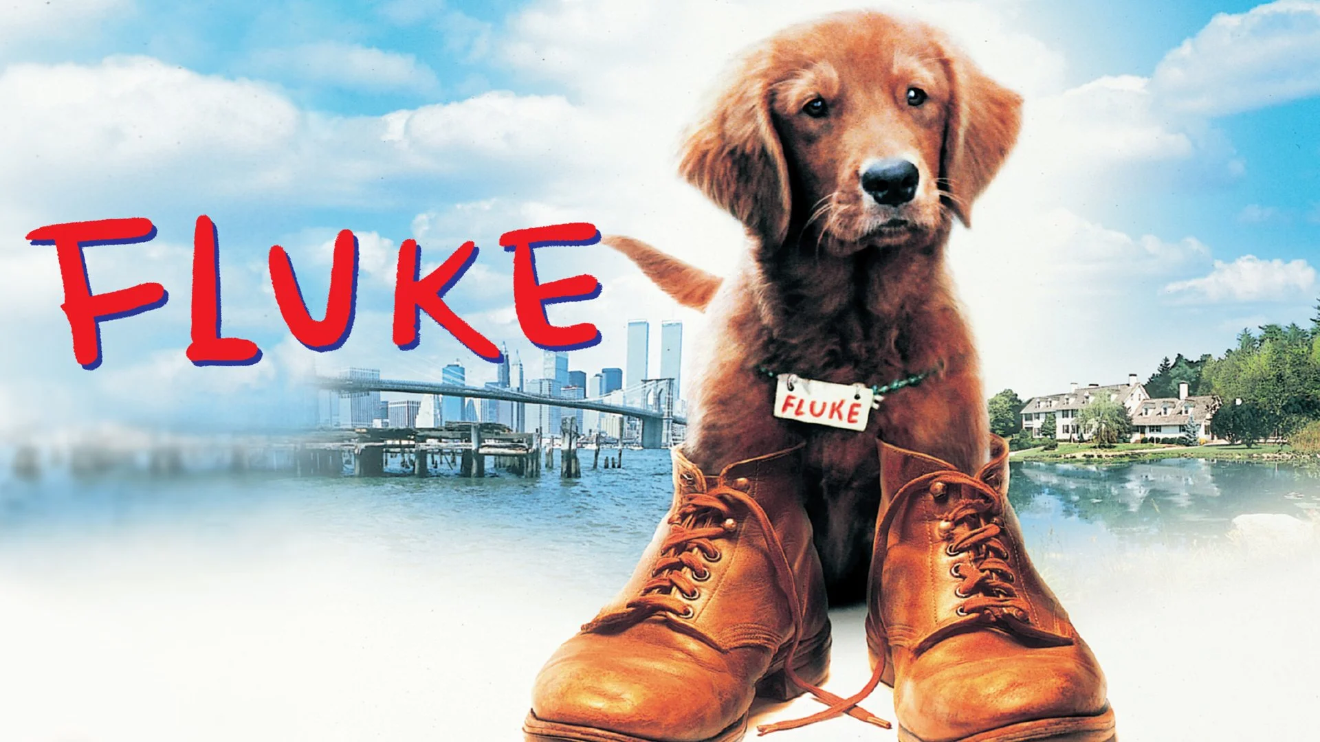 Fluke (1995)