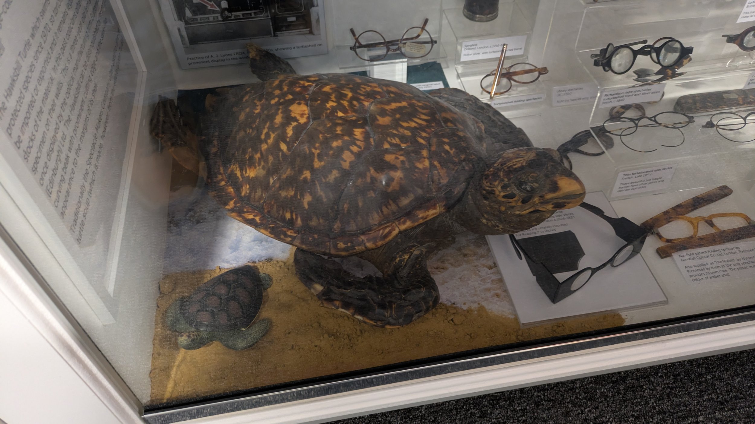 British Optical Association Museum (15).jpg