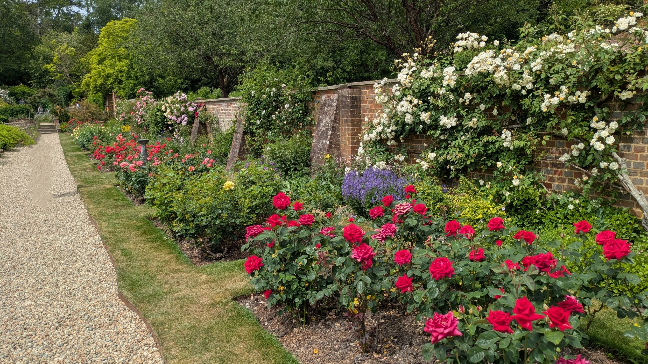 Riverhill Himalayan Gardens