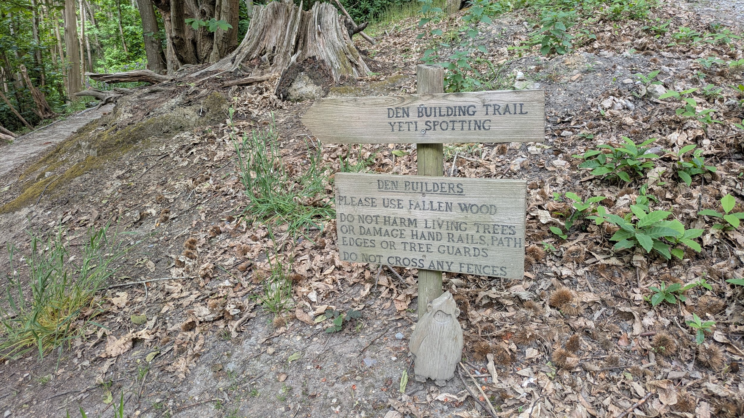 PXL_20260529_095338505.jpg
