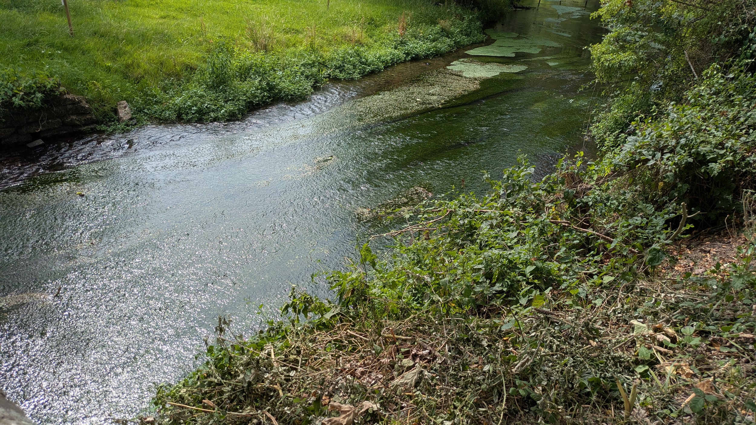 PXL_20260710_095143551.jpg