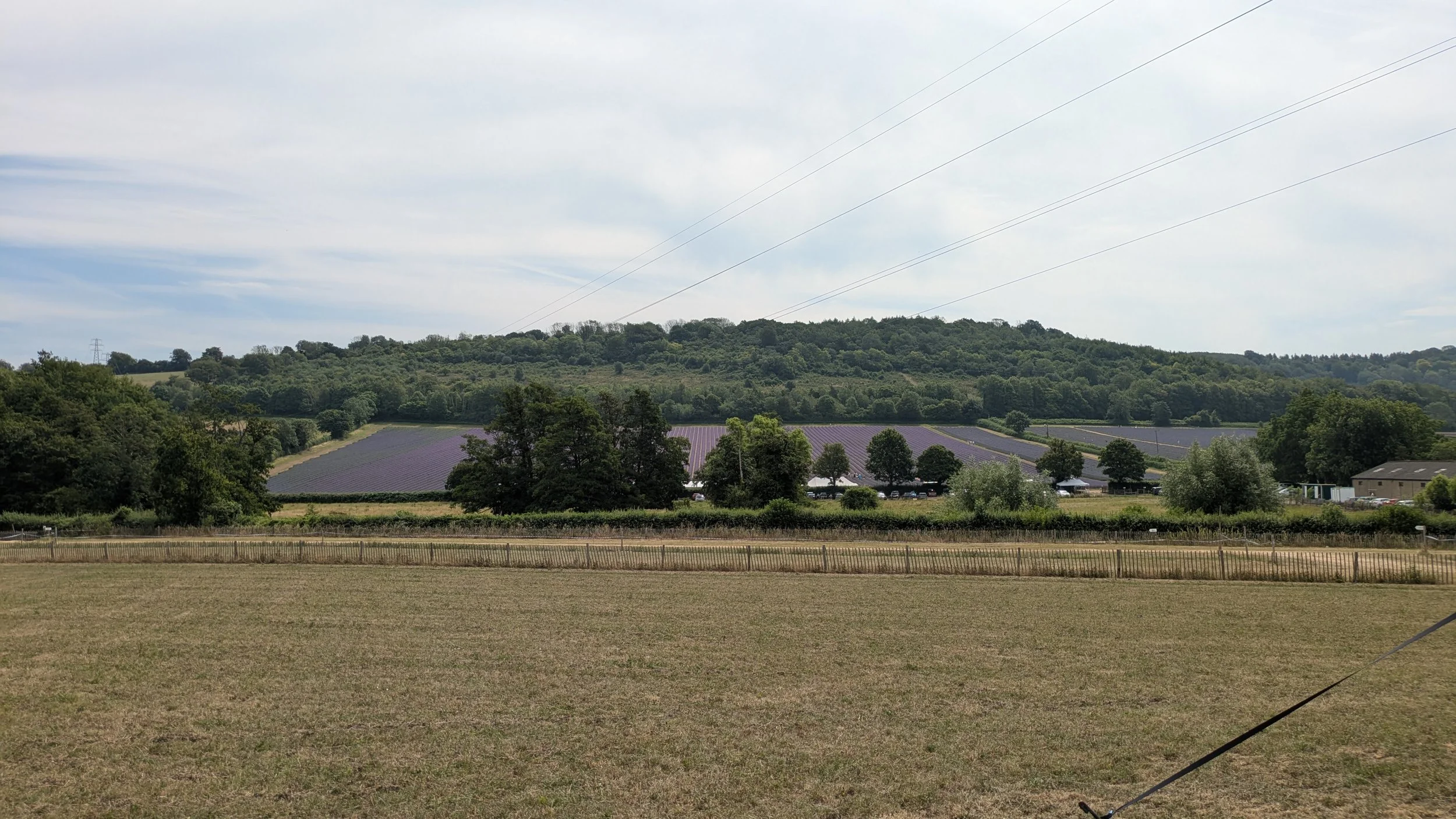 PXL_20260710_100709698.jpg