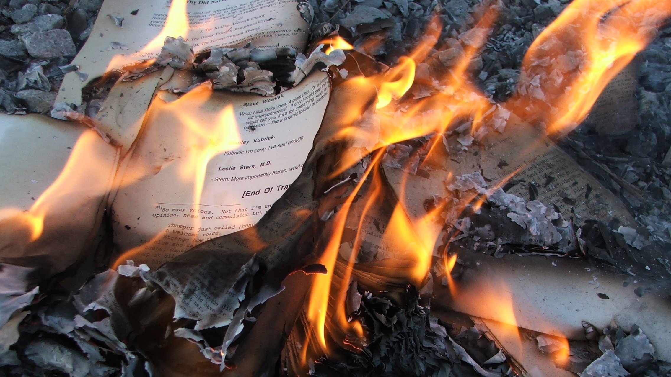 Book Burning