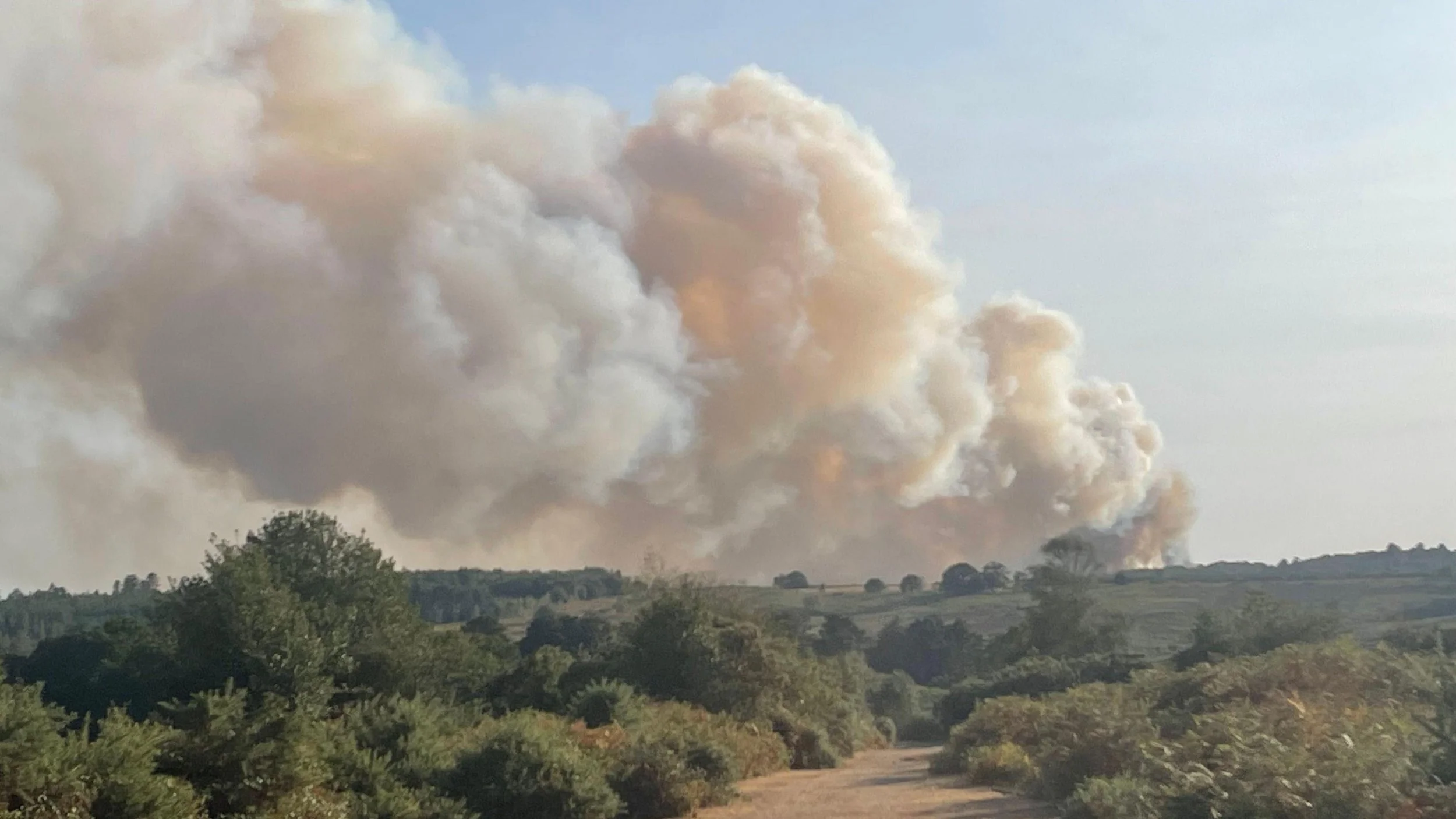 Heathland Fire Ringwood New Forest