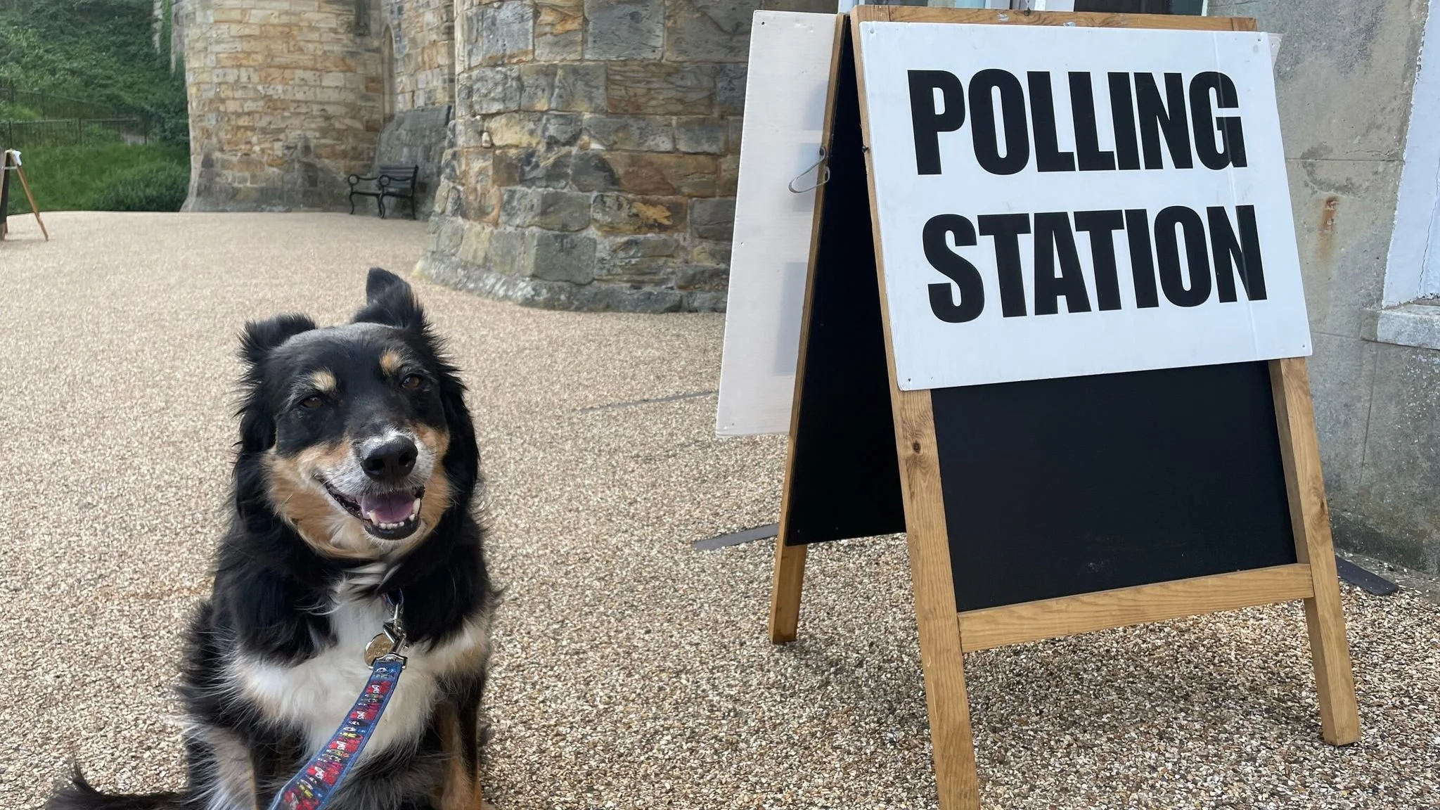 Dogs at Polling Station 2026