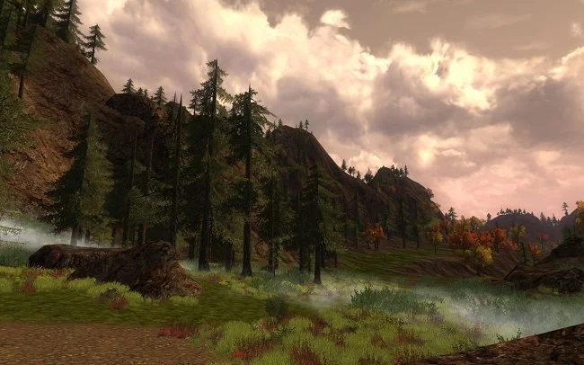 MMO Exploration (1).jpg