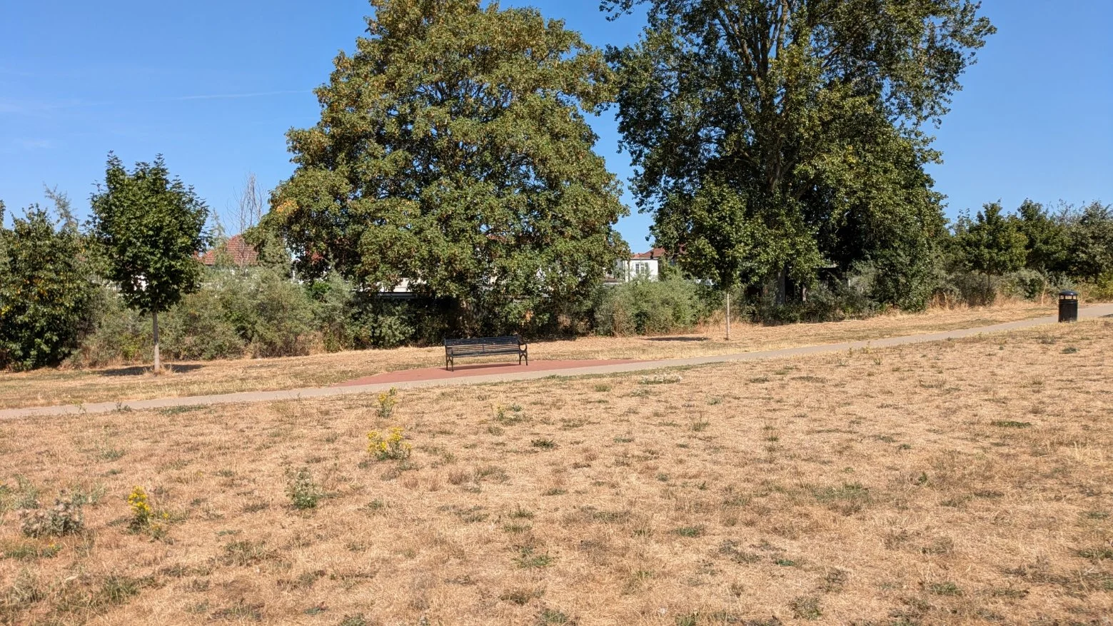 Old farm Park August 2026 Drought