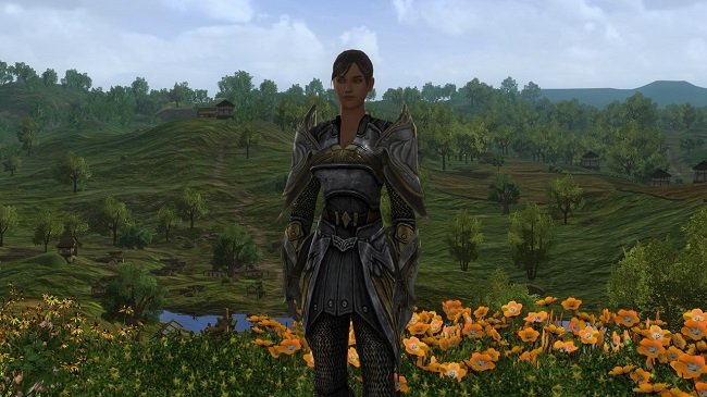 Solo Gameplay LOTRO 650.jpg
