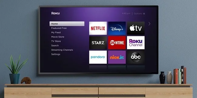 Roku Wall Mounted TV 650.jpg