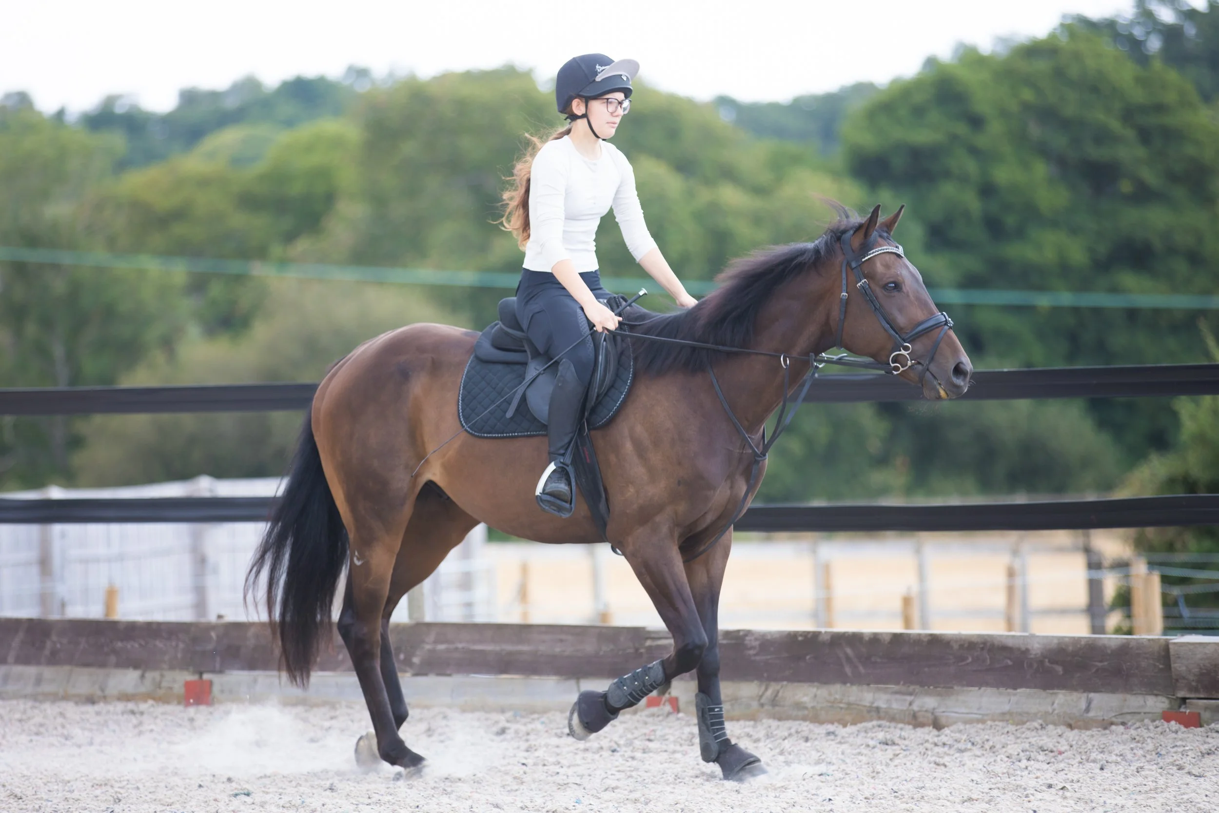 hampshire-equine-photographer-horse-rider-arena.jpg.jpg