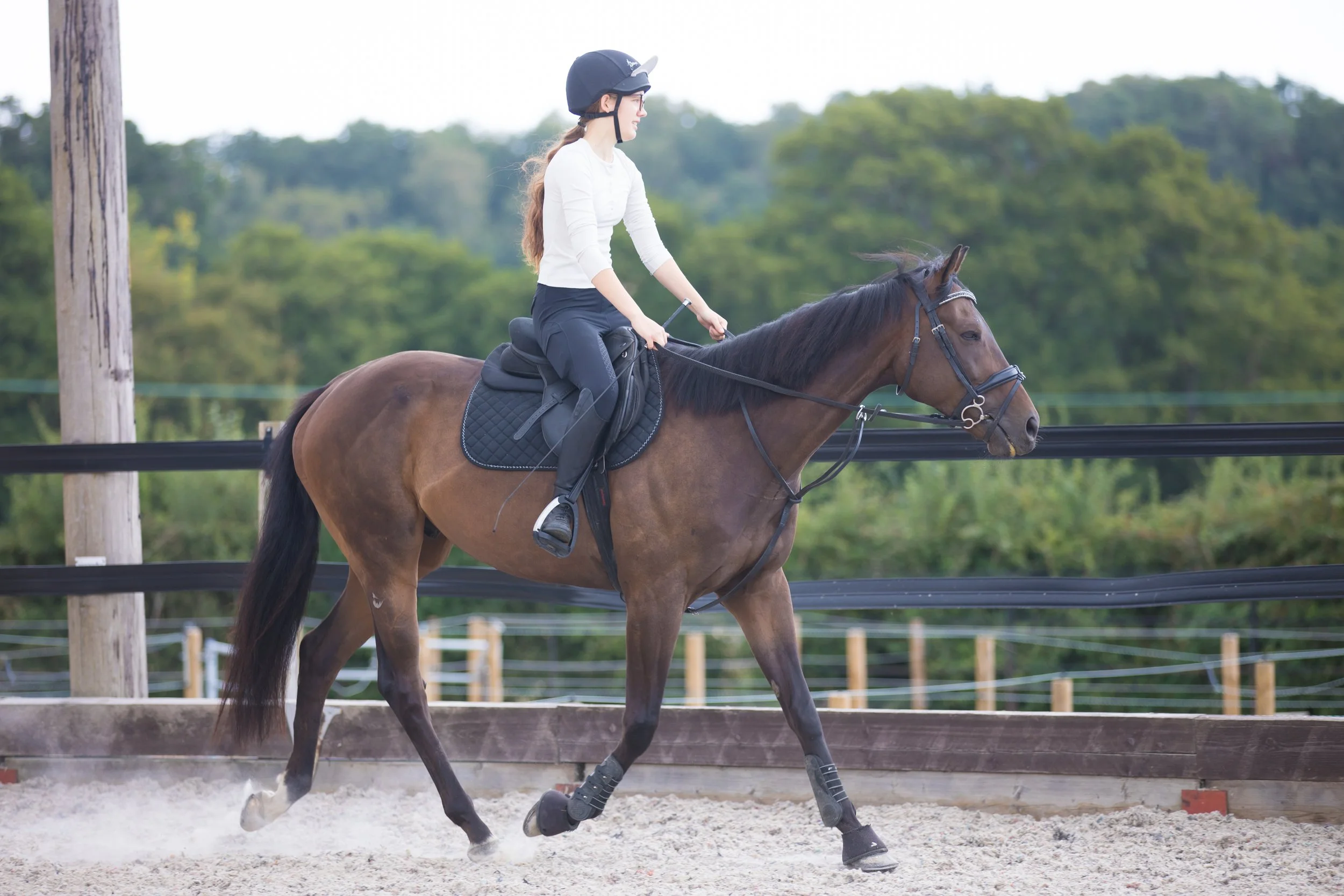 hampshire-equine-photographer-horse-rider.jpg.jpg