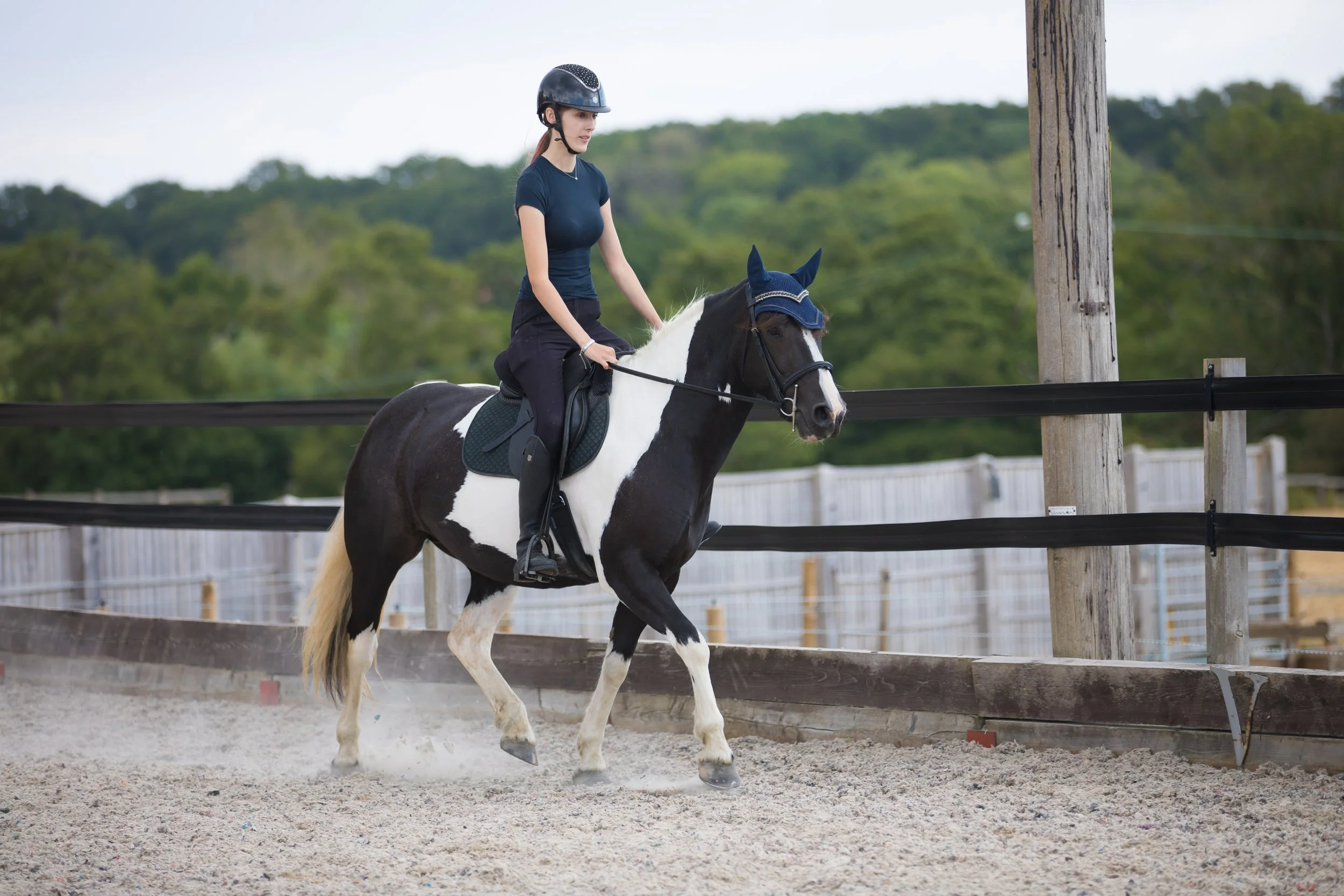 hampshire-equine-photographer-horse-rider-cob-school.jpg.jpg