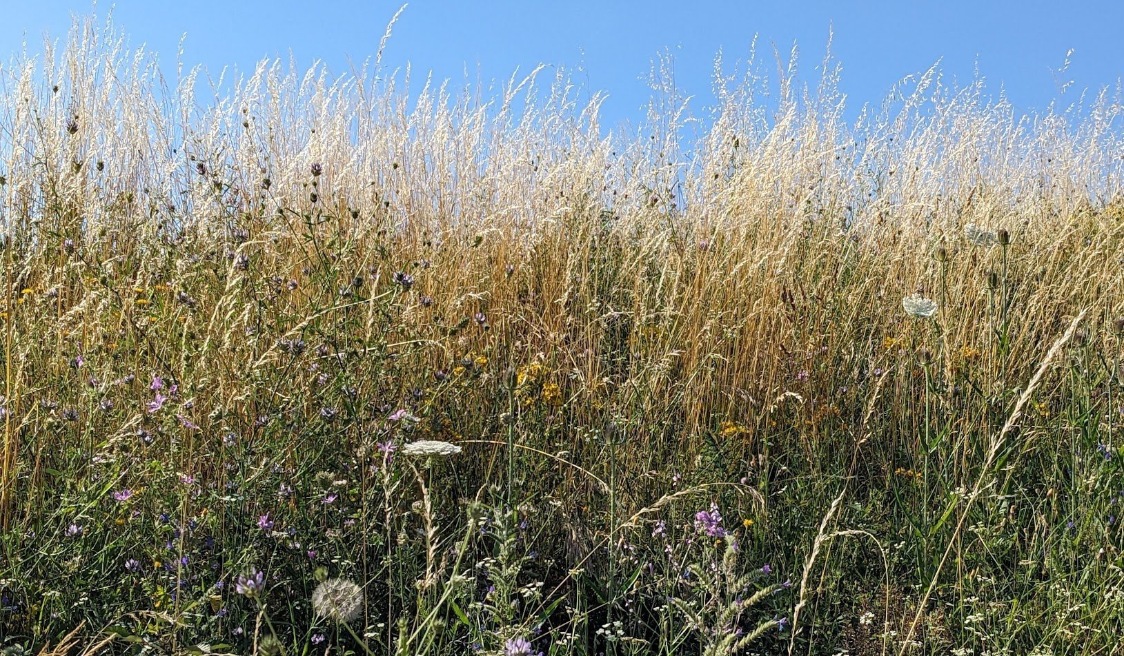 Sommer 2023 (Kopie)