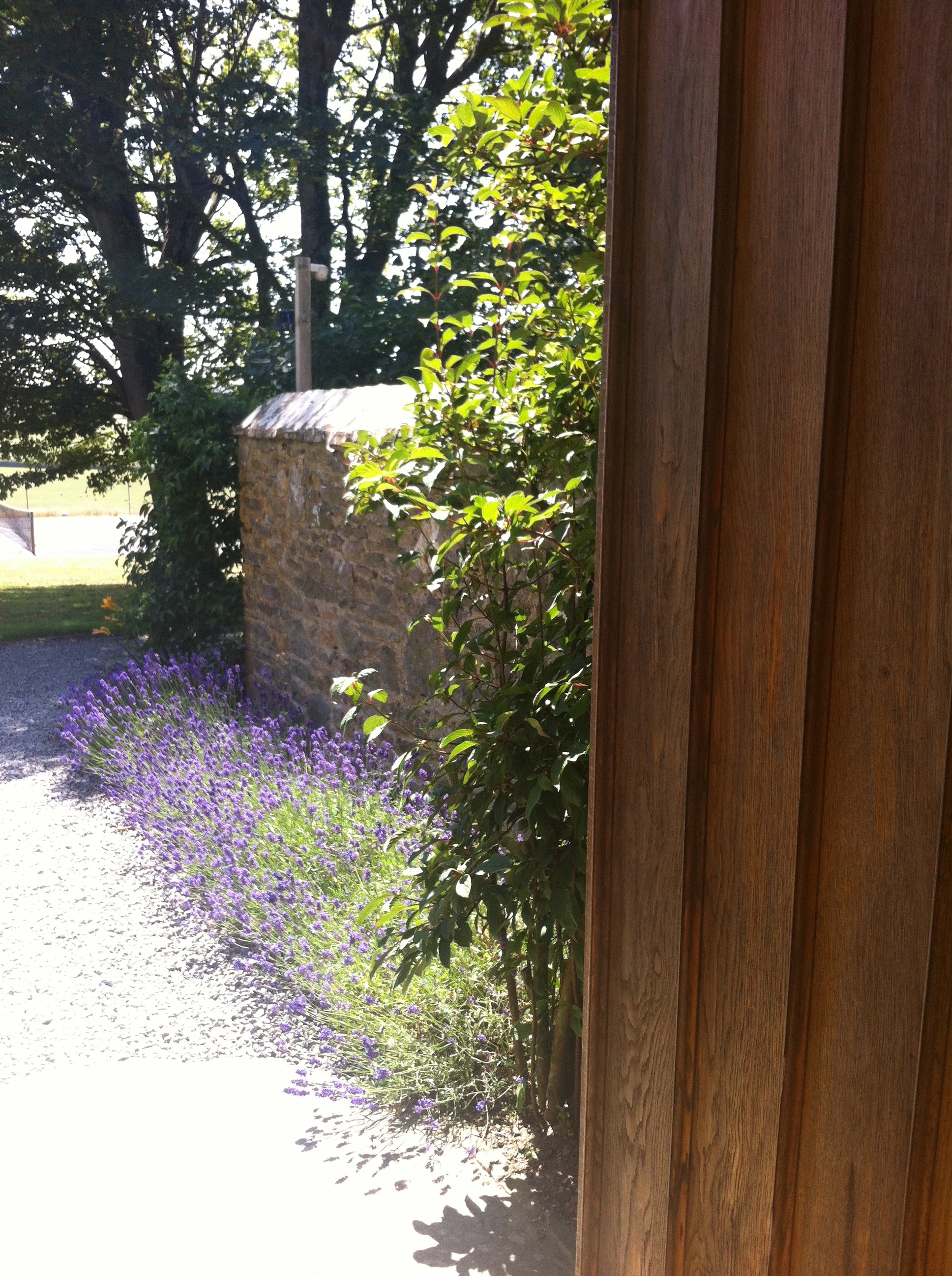 West Wing entrance oak door lavendar.jpg