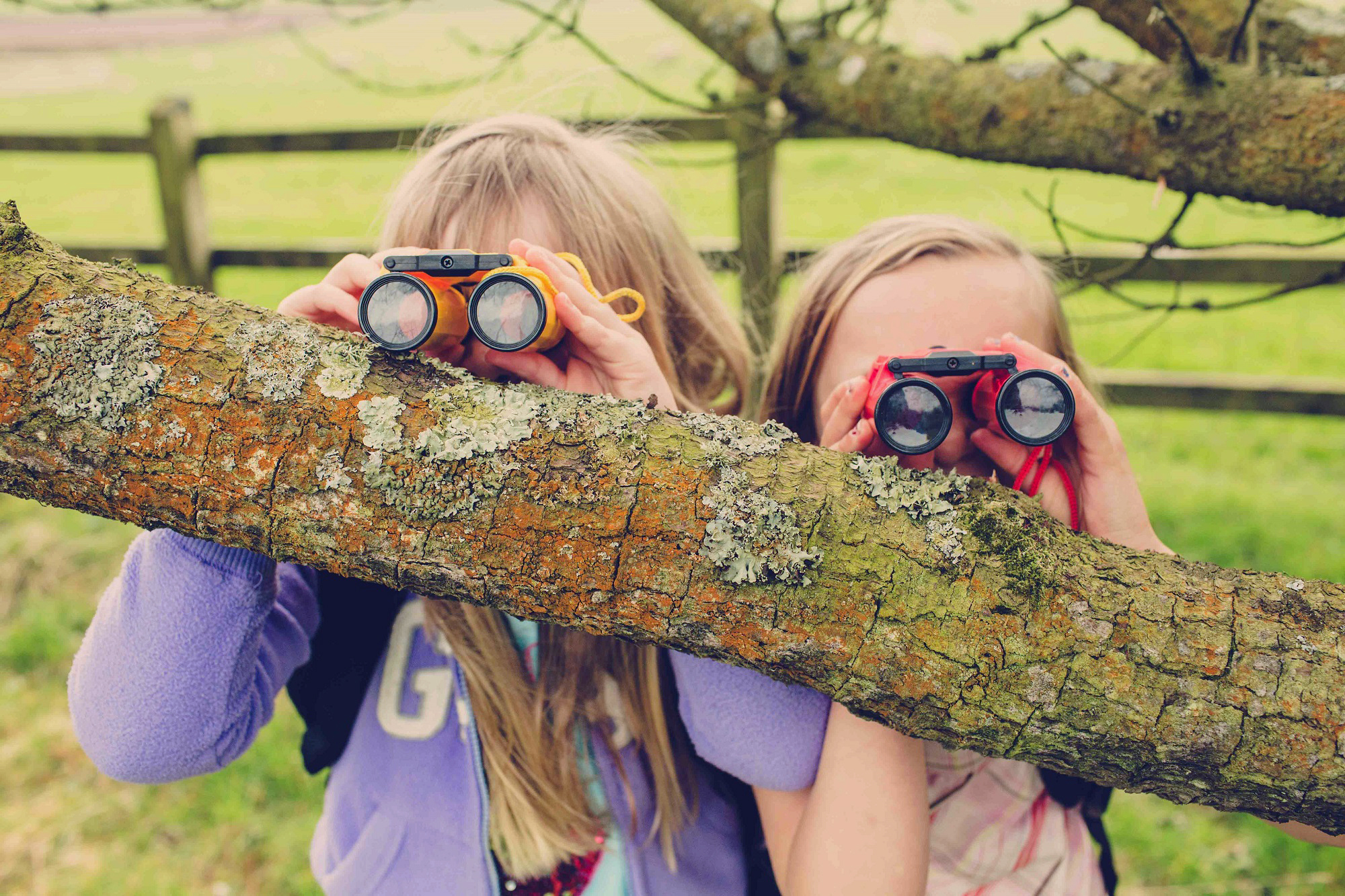 Garden birdwatchers 3.jpg