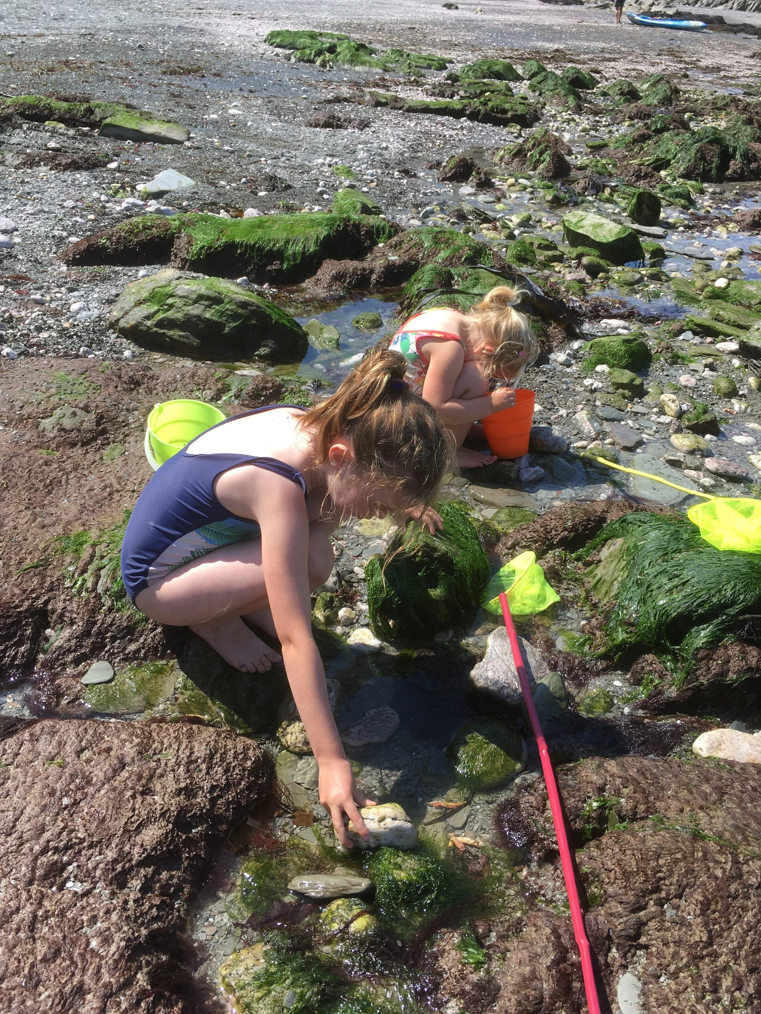 Rock Pooling - Lee Bay
