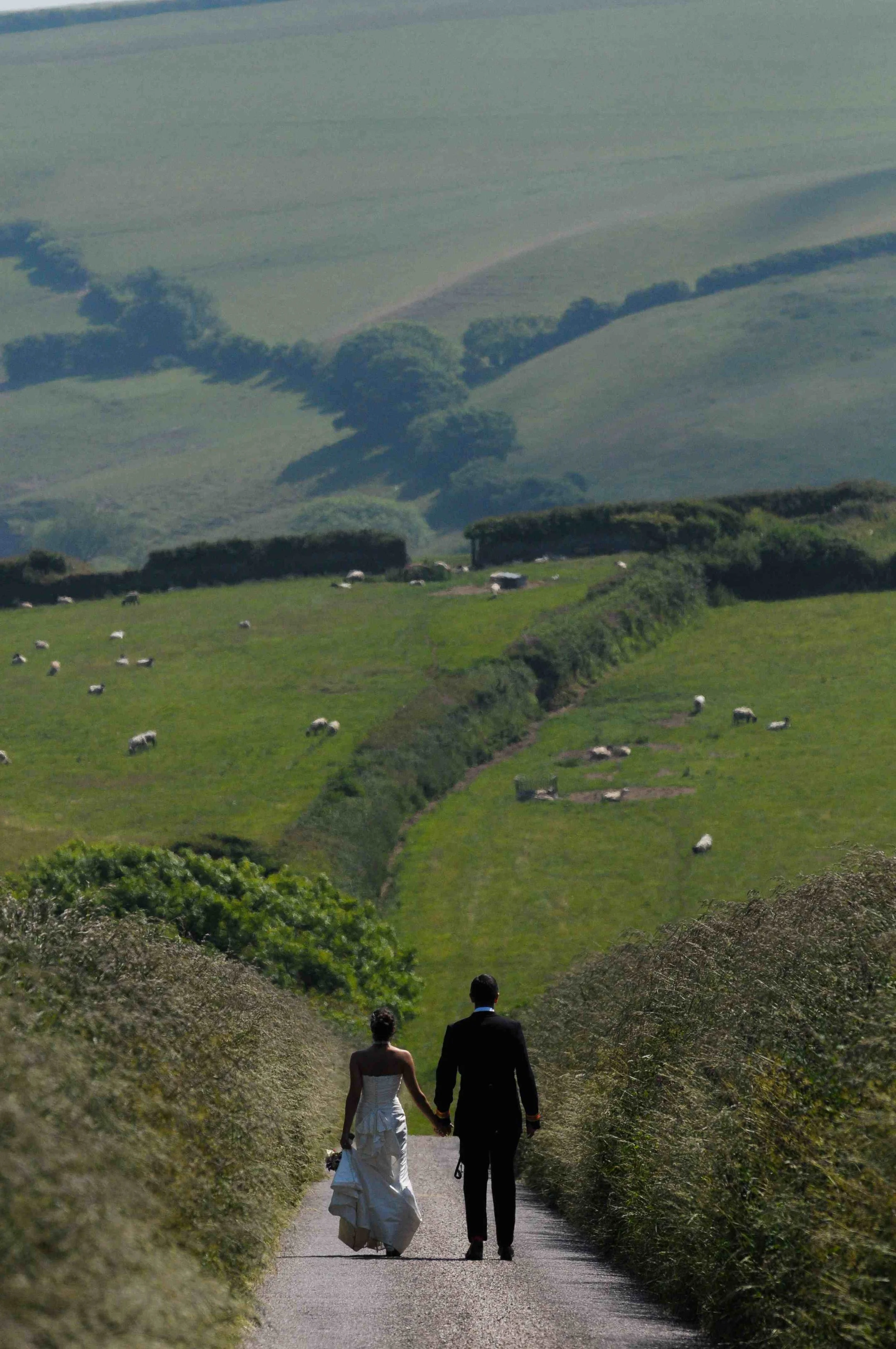 Wedding - walk in countryside.jpg