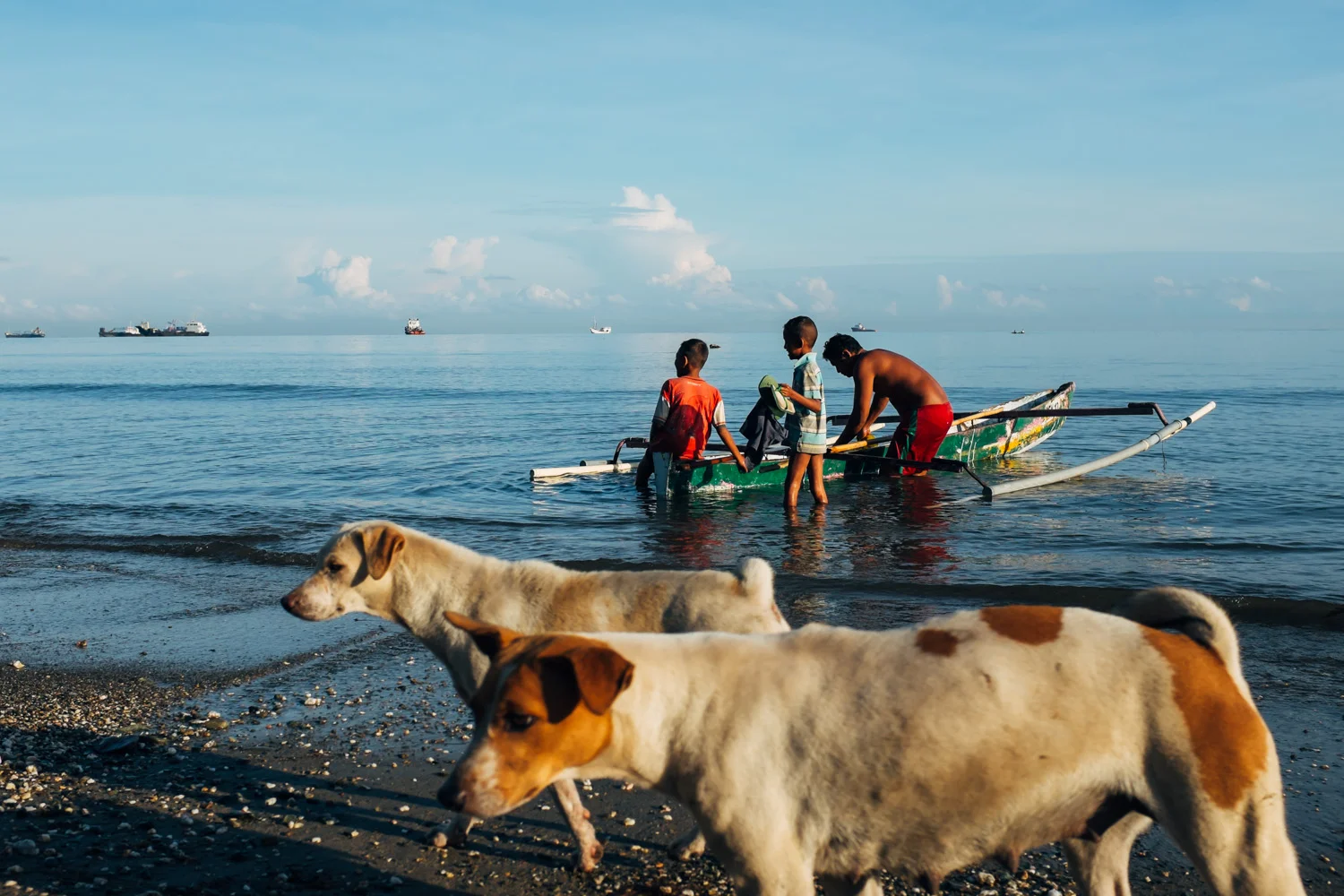 Dogs and fishermen sharing the early Sun on a beach outside Dili