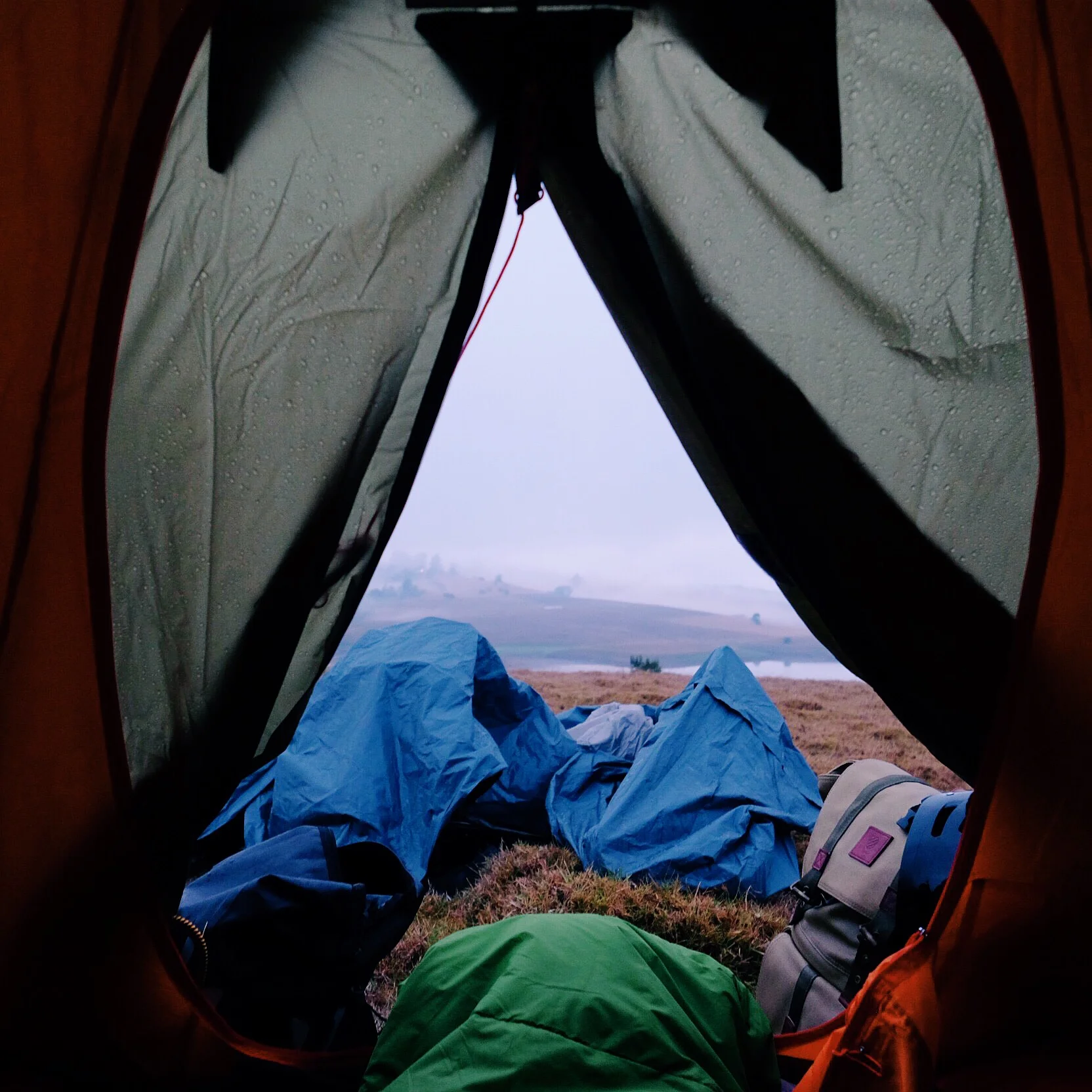 The view from inside my tent the next morning, after a cold, wet night...