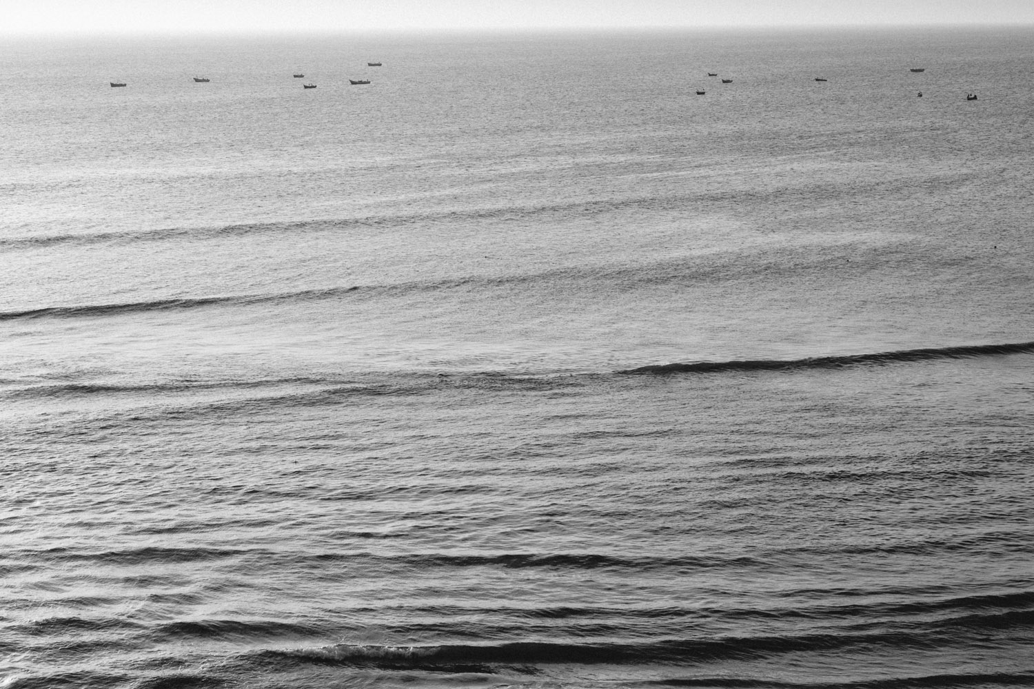 DSCF5061-1.jpg