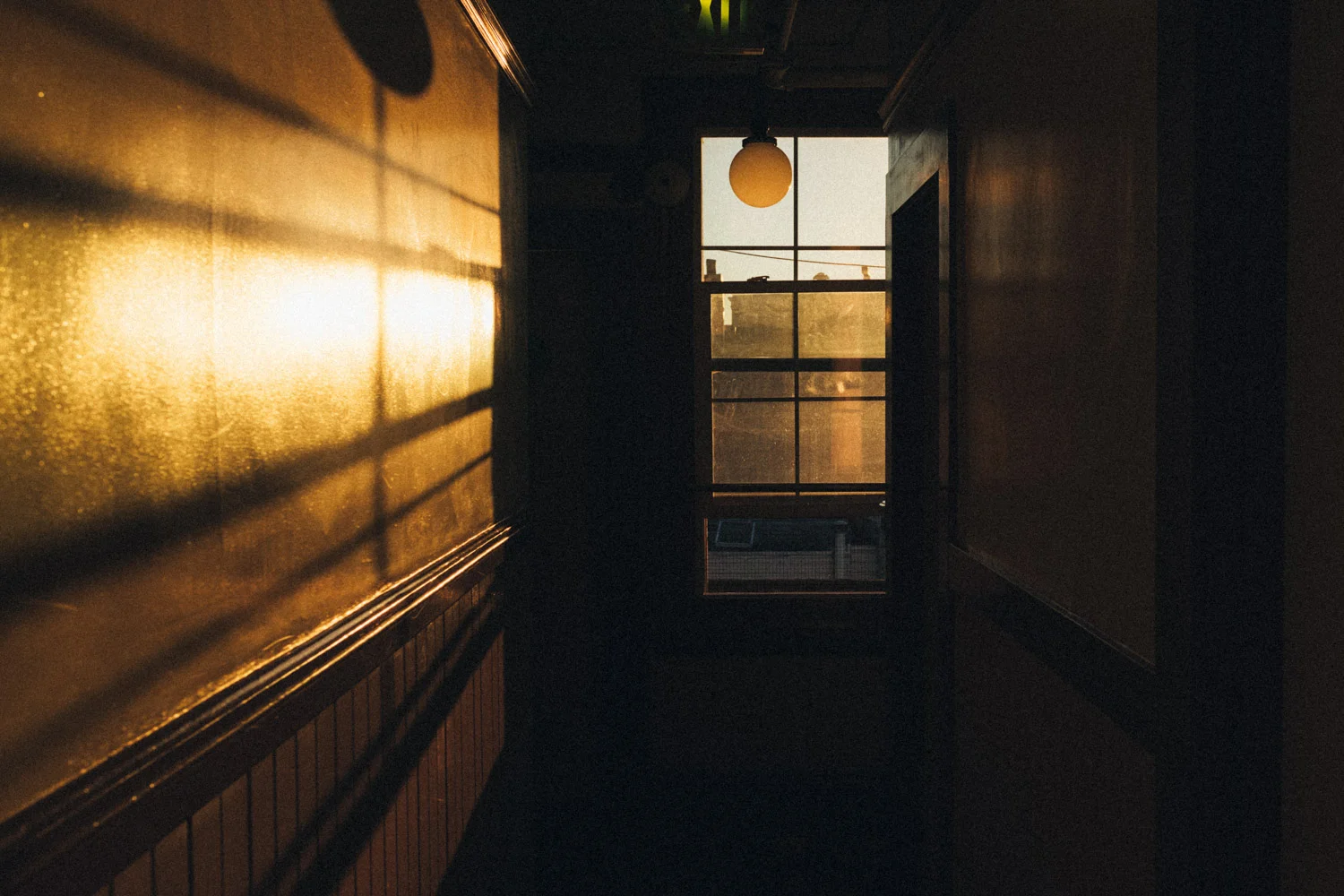 Early golden light at the hostel where we spent the night in San Francisco