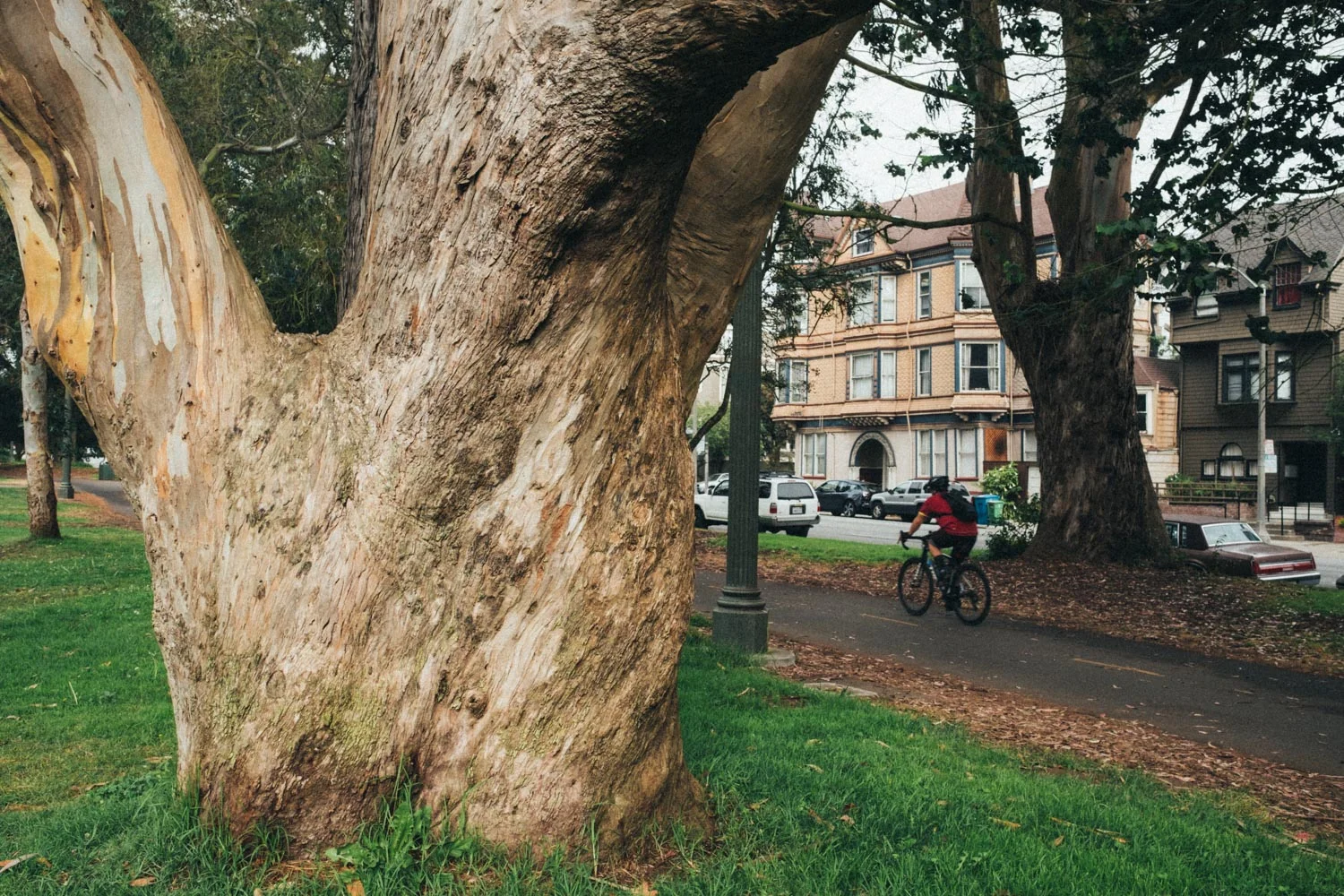 Beautiful parks in the city