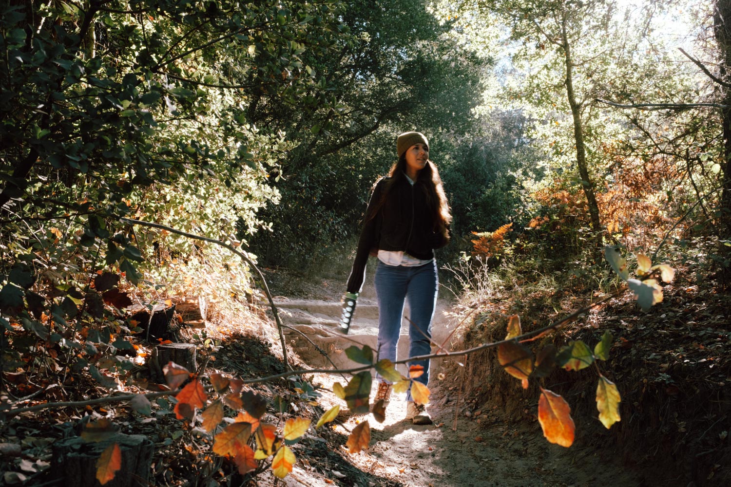 Gorgeous morning light on our trail