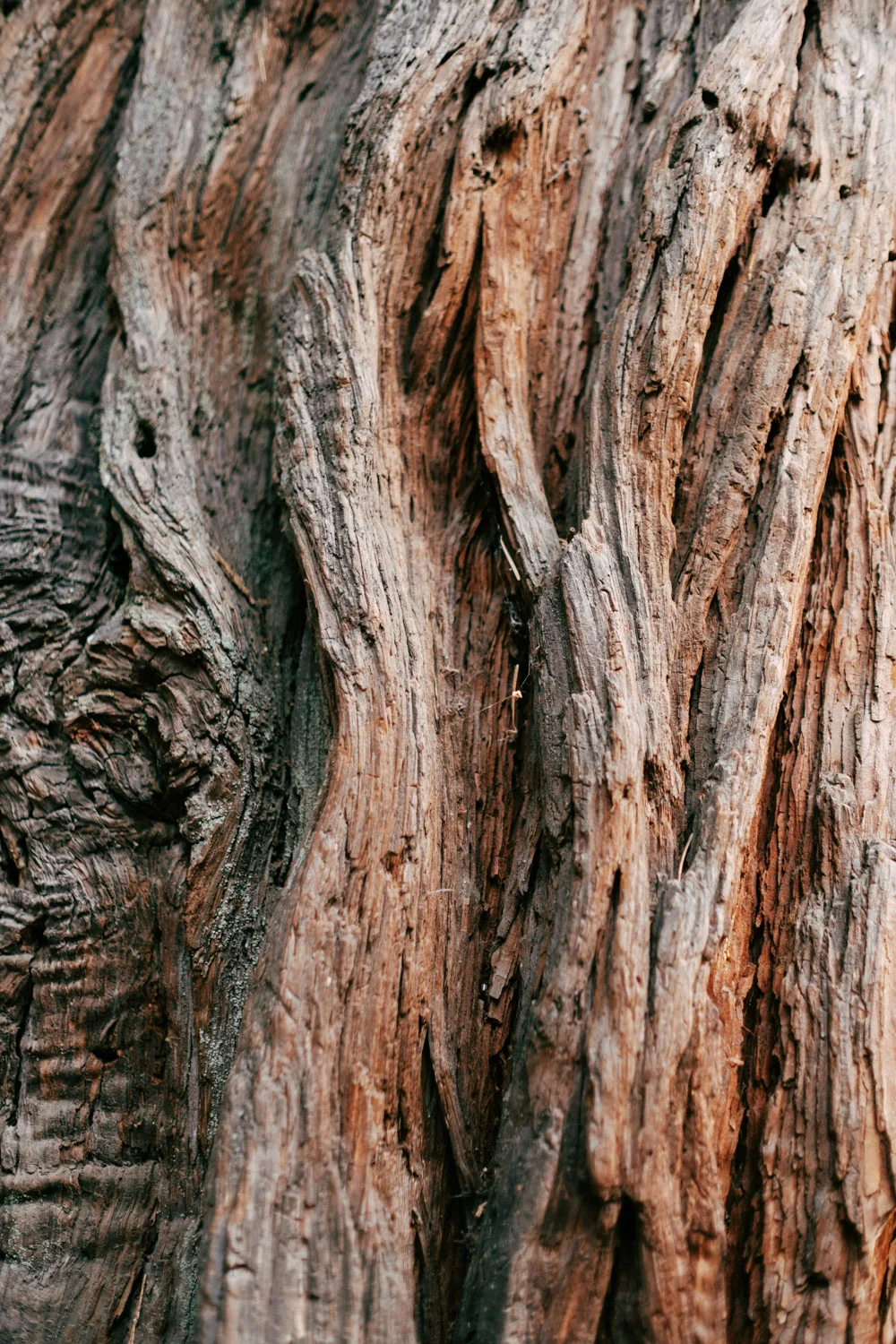Textures...