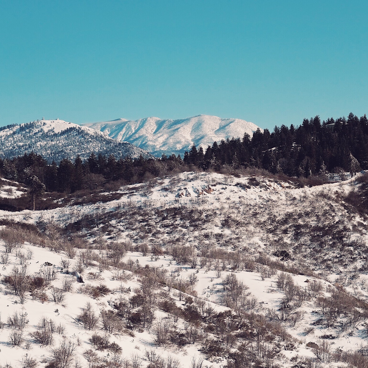 White Beauty. Big Bear area. Shot w/ X-Pro 2 + 56mm f/1.2 (edited on my iPhone)