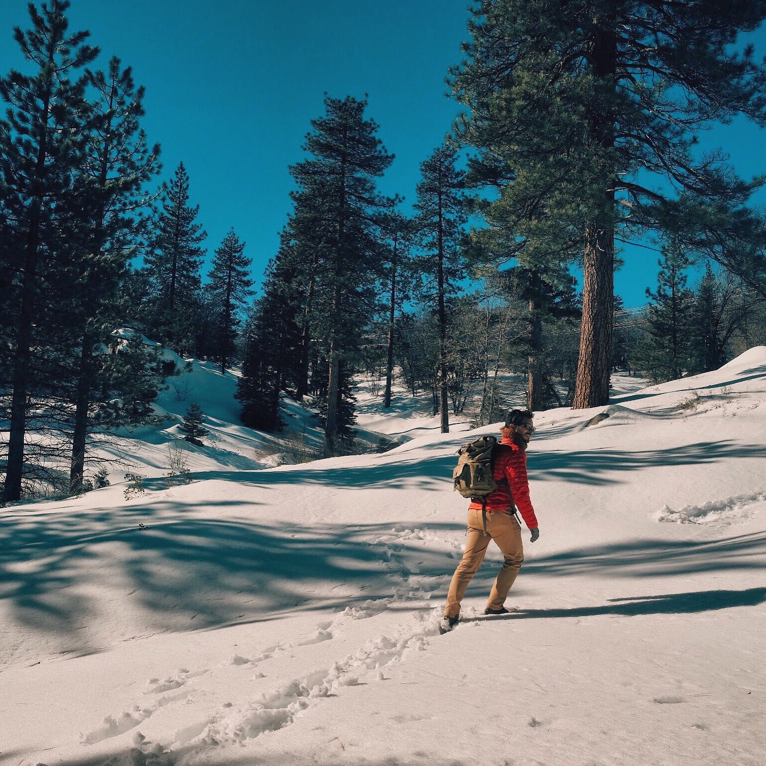 Snowy walk. Shot w/ X-Pro 2 + 35mm f/1.4 (edited on my iPhone)