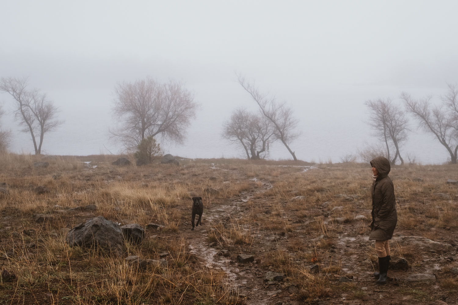 A foggy walk with our big boy Otto. Shot w/ X-Pro 2 + 35mm f/1.4 (edited on my iPhone)