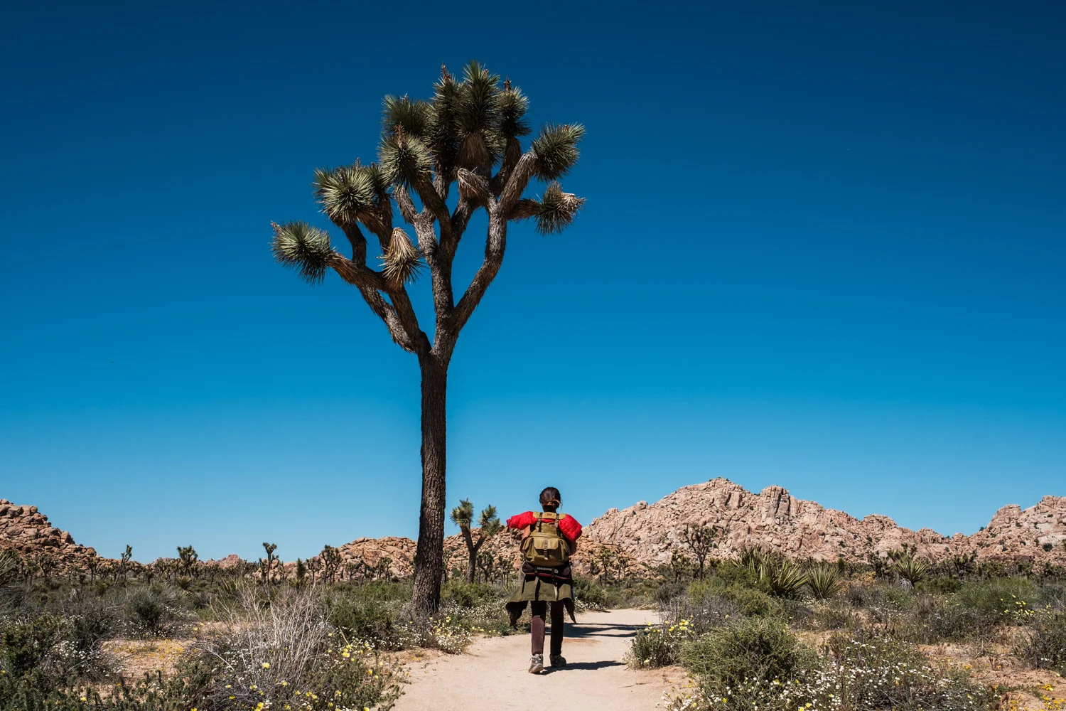 Aleja making her way along the Boys Scout Trail 