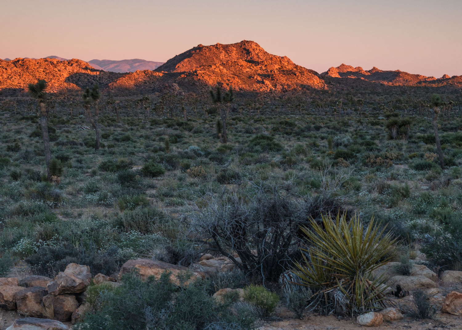 I love it when the rising or setting Sun paints in gold just the tip of the mountain...