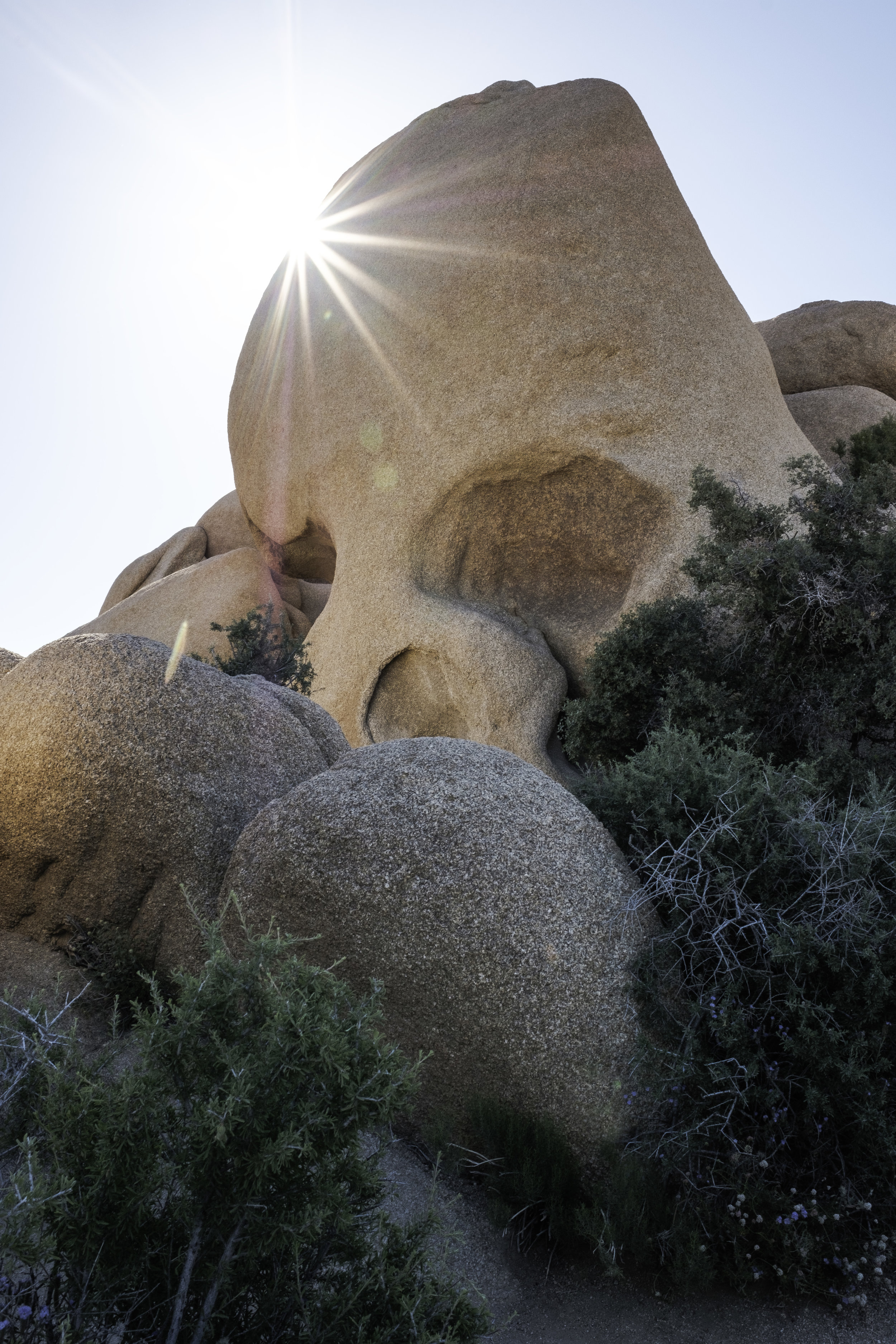 The famous "Skull Rock", one of the main attractions of the eastern side of the park