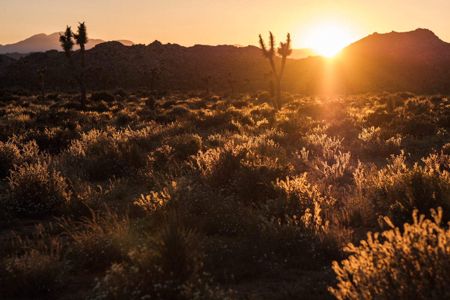 The place was already breathtaking at midday light so you can imagine it when the Sun was setting...
